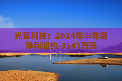 光智科技：2024年半年度净利润约-3541万元