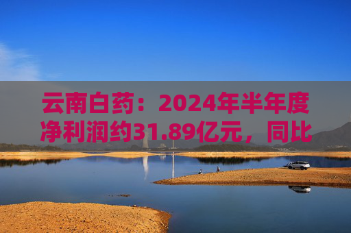 云南白药：2024年半年度净利润约31.89亿元，同比增加12.76%