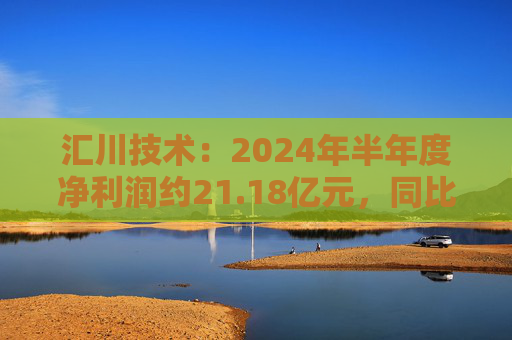 汇川技术：2024年半年度净利润约21.18亿元，同比增加1.98%