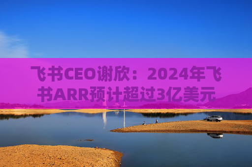 飞书CEO谢欣：2024年飞书ARR预计超过3亿美元