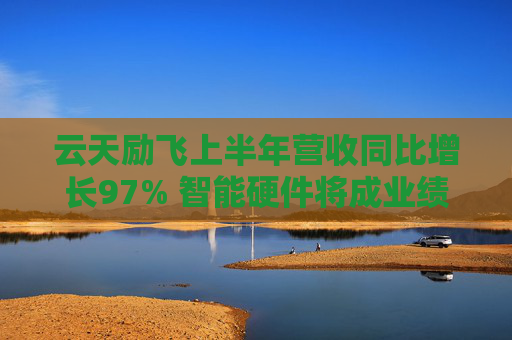 云天励飞上半年营收同比增长97% 智能硬件将成业绩新增长点