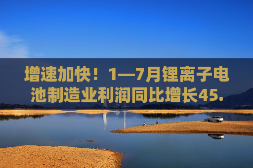 增速加快！1—7月锂离子电池制造业利润同比增长45.6%