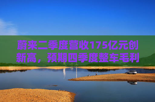 蔚来二季度营收175亿元创新高，预期四季度整车毛利率15%