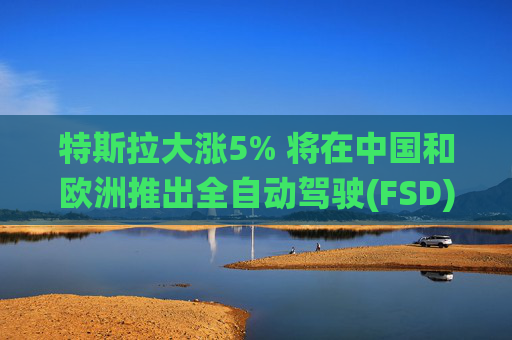 特斯拉大涨5% 将在中国和欧洲推出全自动驾驶(FSD)系统