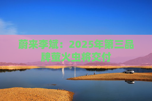 蔚来李斌：2025年第三品牌萤火虫将交付