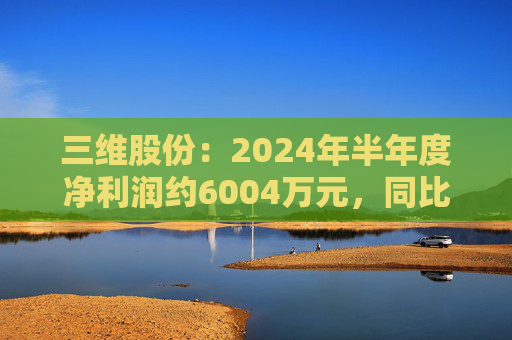 三维股份：2024年半年度净利润约6004万元，同比下降48.08%