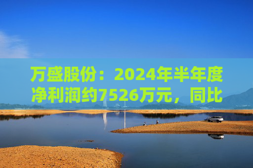 万盛股份：2024年半年度净利润约7526万元，同比下降34.94%