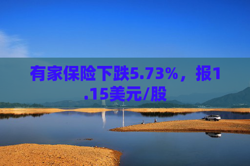 有家保险下跌5.73%，报1.15美元/股