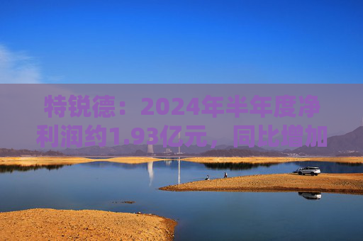 特锐德：2024年半年度净利润约1.93亿元，同比增加105.26%