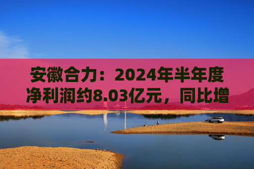 安徽合力：2024年半年度净利润约8.03亿元，同比增加22%