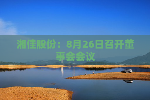 湘佳股份：8月26日召开董事会会议