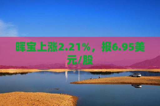 晖宝上涨2.21%，报6.95美元/股