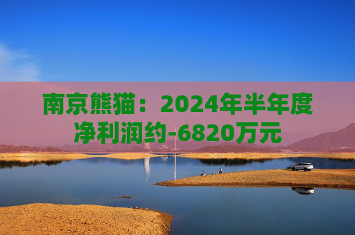 南京熊猫：2024年半年度净利润约-6820万元