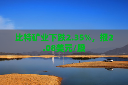 比特矿业下跌2.35%，报2.08美元/股