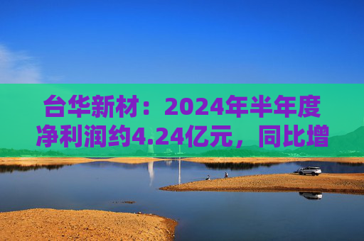 台华新材：2024年半年度净利润约4.24亿元，同比增加131.53%