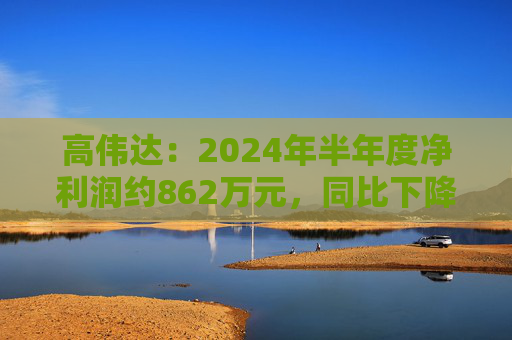 高伟达：2024年半年度净利润约862万元，同比下降41.41%