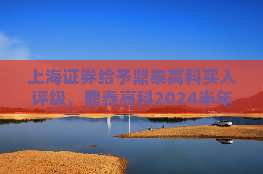 上海证券给予鼎泰高科买入评级，鼎泰高科2024半年报点评：Q2经营显著改善，新兴业务势能强劲