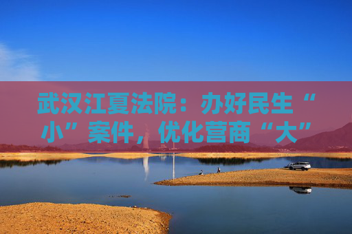 武汉江夏法院：办好民生“小”案件，优化营商“大”环境