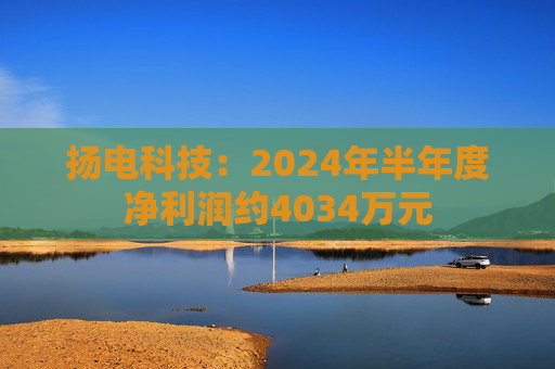 扬电科技：2024年半年度净利润约4034万元