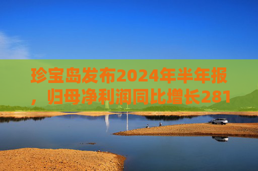 珍宝岛发布2024年半年报，归母净利润同比增长281.93%