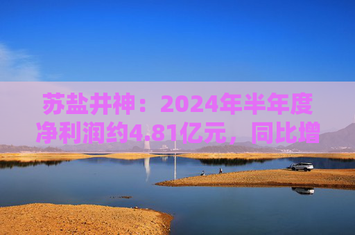 苏盐井神：2024年半年度净利润约4.81亿元，同比增加18.92%