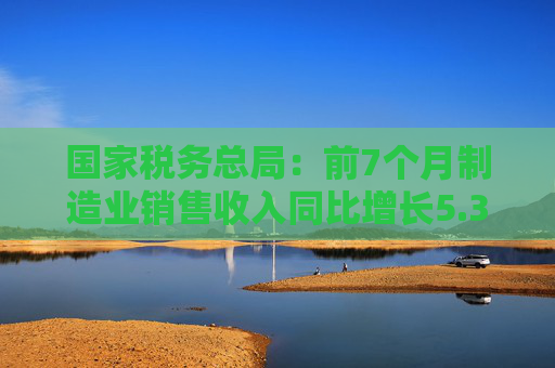 国家税务总局：前7个月制造业销售收入同比增长5.3%