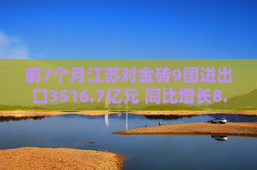 前7个月江苏对金砖9国进出口3516.7亿元 同比增长8.1%