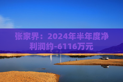 张家界：2024年半年度净利润约-6116万元