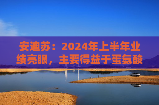 安迪苏：2024年上半年业绩亮眼，主要得益于蛋氨酸业务的强劲增长等