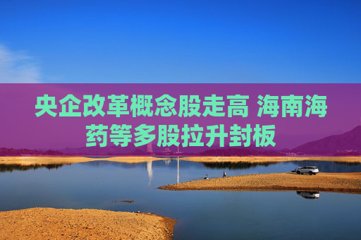 央企改革概念股走高 海南海药等多股拉升封板