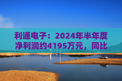 利通电子：2024年半年度净利润约4195万元，同比增加54.26%