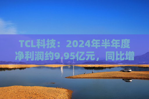 TCL科技：2024年半年度净利润约9.95亿元，同比增加192.28%