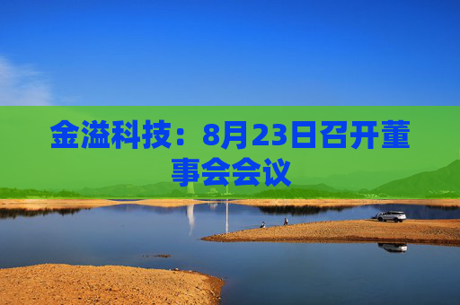 金溢科技：8月23日召开董事会会议