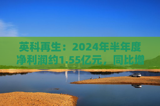 英科再生：2024年半年度净利润约1.55亿元，同比增加30.75%