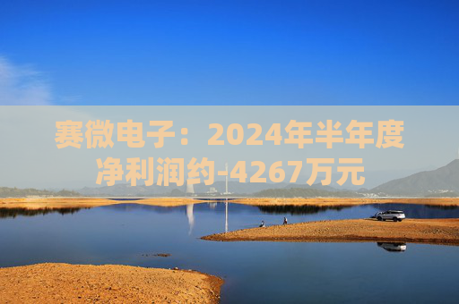 赛微电子：2024年半年度净利润约-4267万元