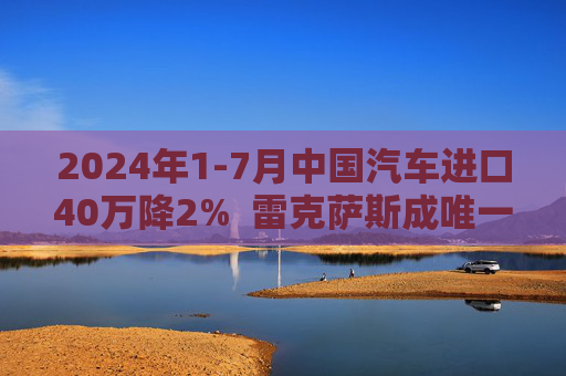 2024年1-7月中国汽车进口40万降2%  雷克萨斯成唯一销量正增长豪华品牌