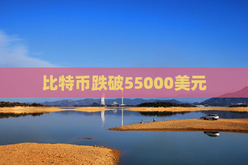 比特币跌破55000美元