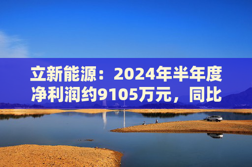 立新能源：2024年半年度净利润约9105万元，同比下降8.98%