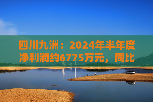 四川九洲：2024年半年度净利润约6775万元，同比下降20.76%