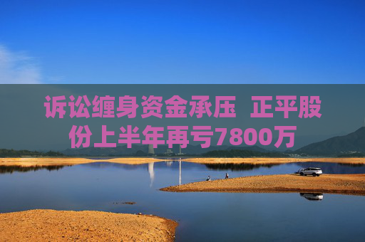 诉讼缠身资金承压  正平股份上半年再亏7800万