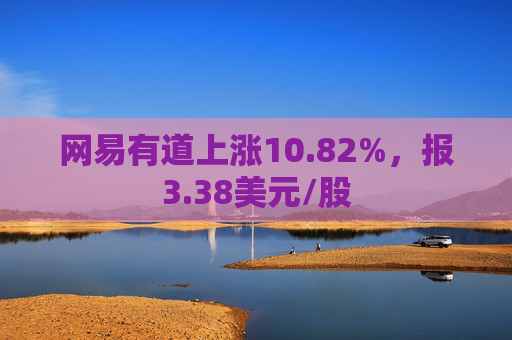 网易有道上涨10.82%，报3.38美元/股