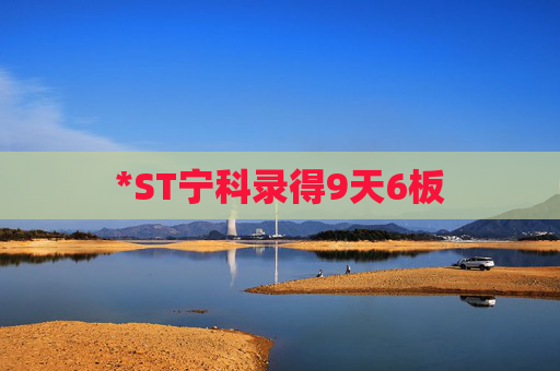 *ST宁科录得9天6板