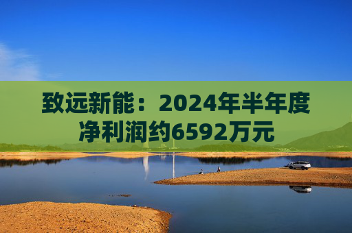 致远新能：2024年半年度净利润约6592万元