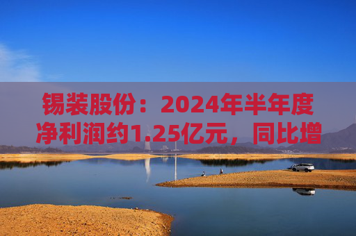 锡装股份：2024年半年度净利润约1.25亿元，同比增加23.33%