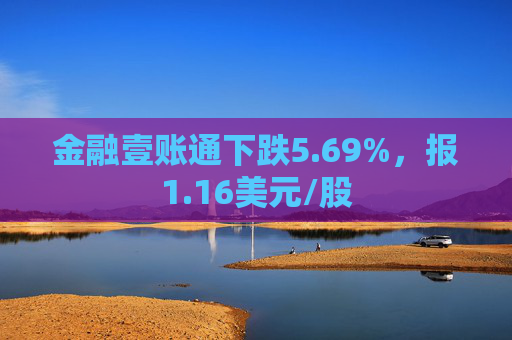 金融壹账通下跌5.69%，报1.16美元/股