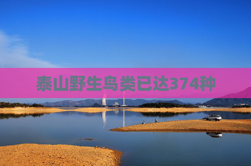 泰山野生鸟类已达374种