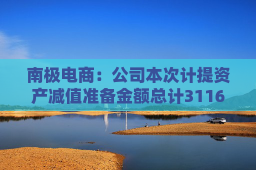 南极电商：公司本次计提资产减值准备金额总计3116.33万元