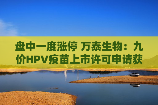 盘中一度涨停 万泰生物：九价HPV疫苗上市许可申请获受理