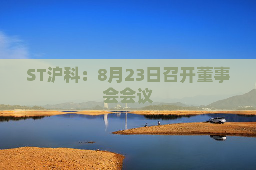 ST沪科：8月23日召开董事会会议