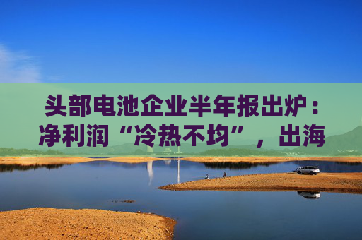 头部电池企业半年报出炉：净利润“冷热不均”，出海、储能业务成为布局重点